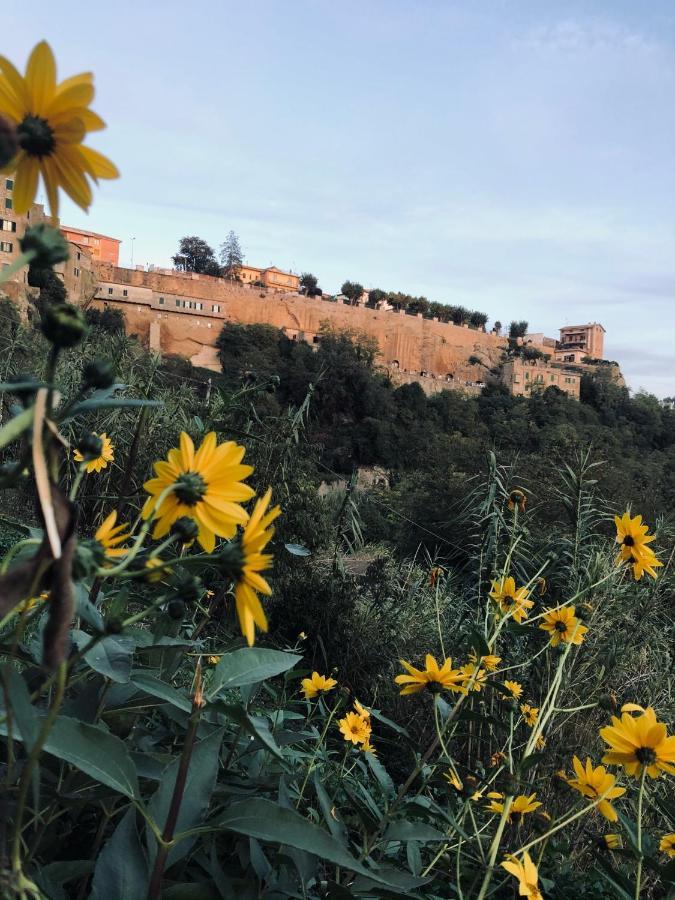 Апартаменты Il Girasole Storico Питильяно Экстерьер фото